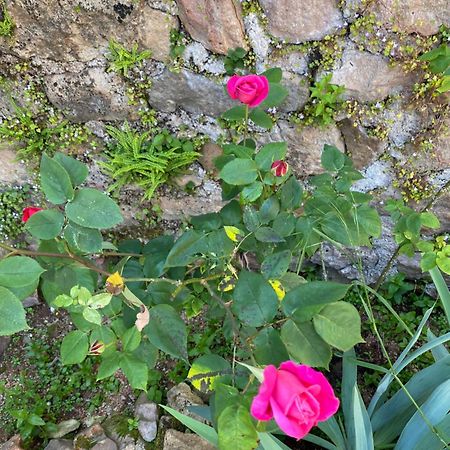 Bed and Breakfast Ferme Fleurie Bergesserin Exterior foto