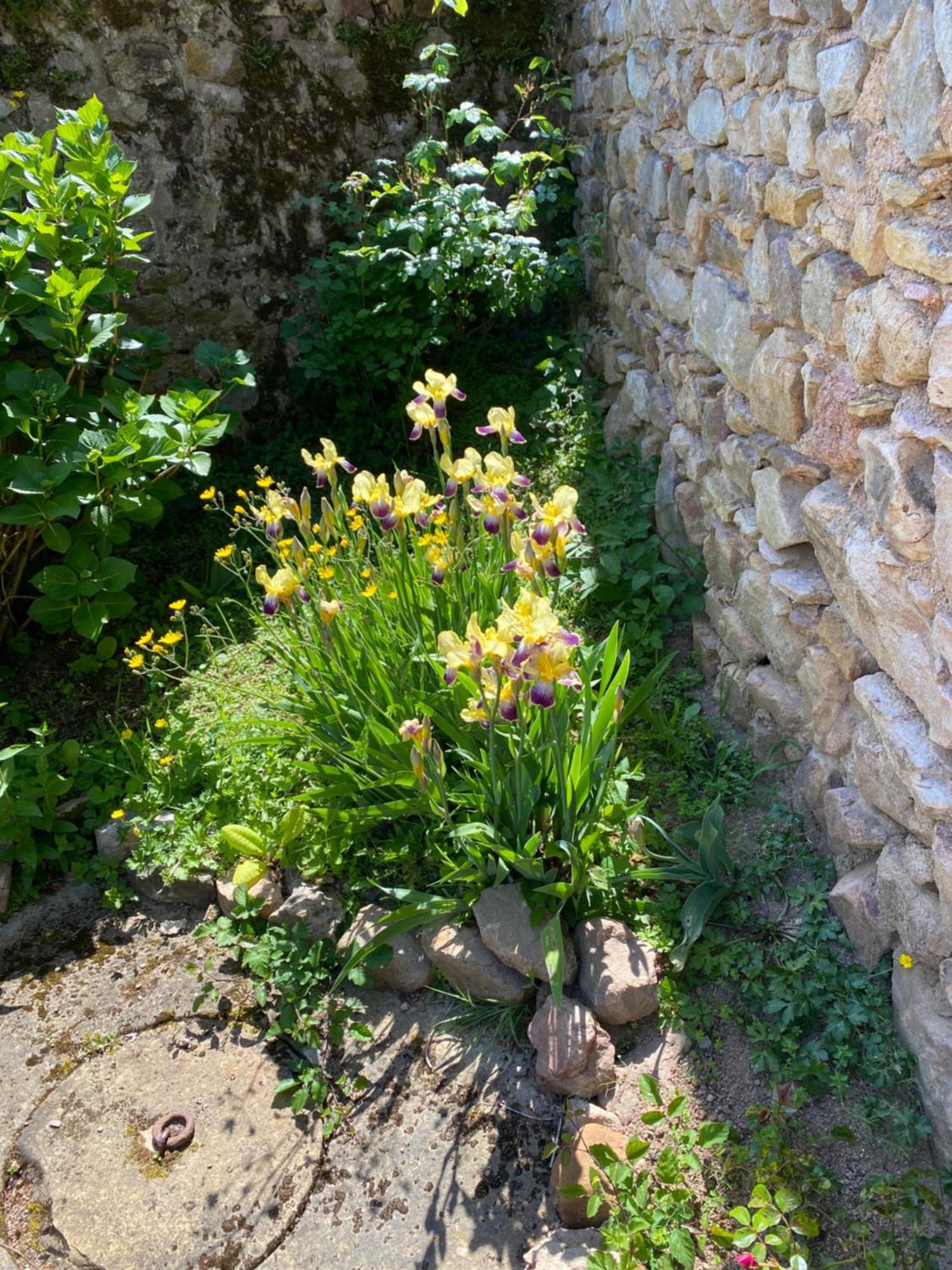 Bed and Breakfast Ferme Fleurie Bergesserin Exterior foto